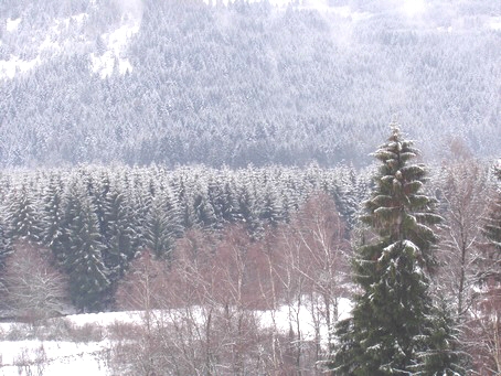 Paysages de neige dans les vosges