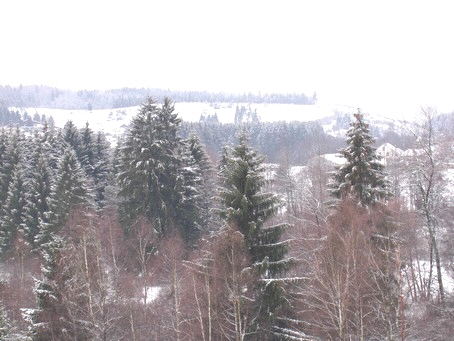 Paysages de neige dans les vosges