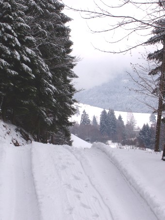 Paysages de neige dans les vosges