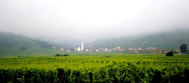 Le village de Riquewihr, une le au milieu des vignes