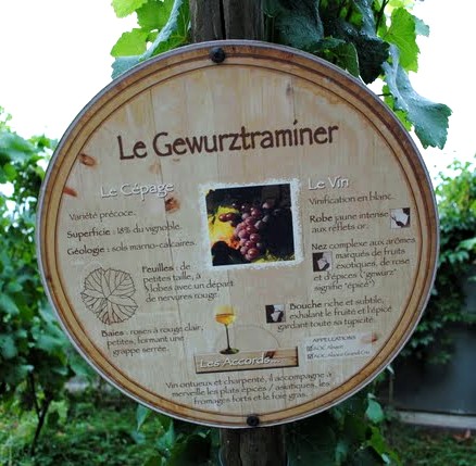 Pour mieux connatre les vins d'alsace: Le Gewurztraminer