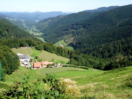 Route des Crtes - Photo G.GUYOT - Gite en Alsace